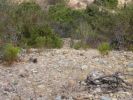 burial_mound.jpg