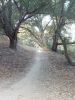 hollows_path.jpg