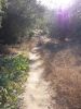 path.jpg
