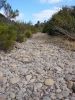 rock_river.jpg